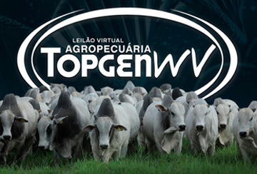 LEILÃO VIRTUAL AGROPECUÁRIA TOPGEN WV